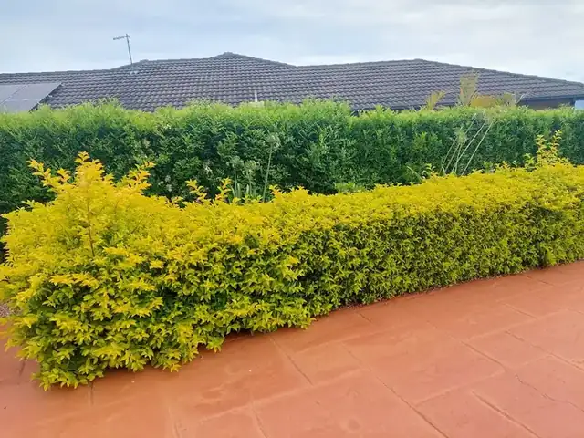 Photo 4 of A n K Lawn Care from its public Google listing