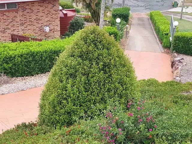 Photo 5 of A n K Lawn Care from its public Google listing
